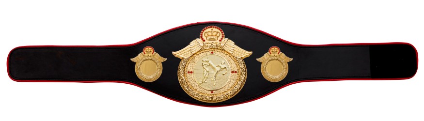 KICKBOXING CHAMPIONSHIP BELT-PROWING/G/KBOG-6+ COLOURS